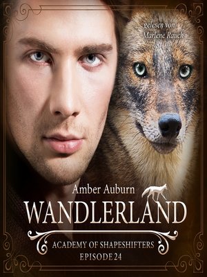 cover image of Wandlerland, Episode 24--Fantasy-Serie